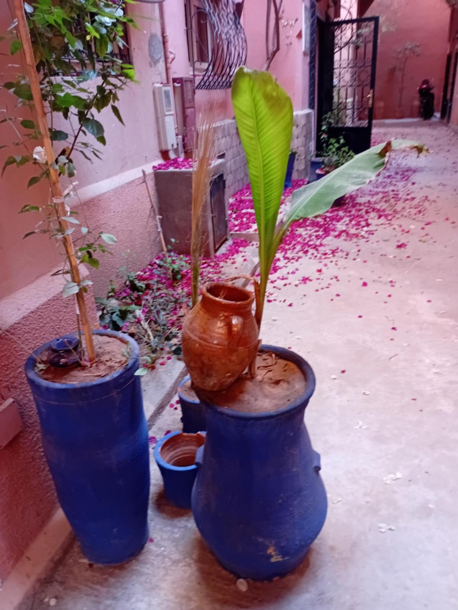 Riad Le Shams Marrakesh Buitenkant foto